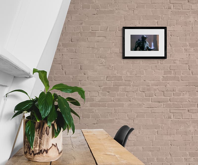 Framed Print